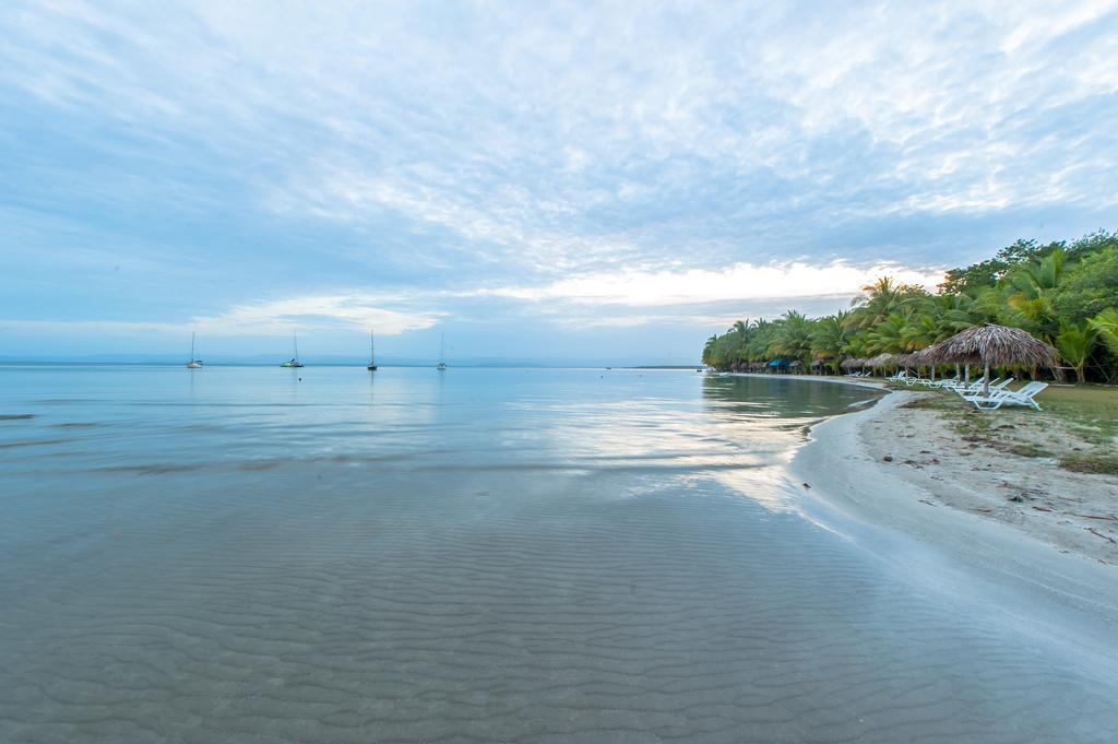 Aqua Point Condos Rentals Bocas Town Dış mekan fotoğraf