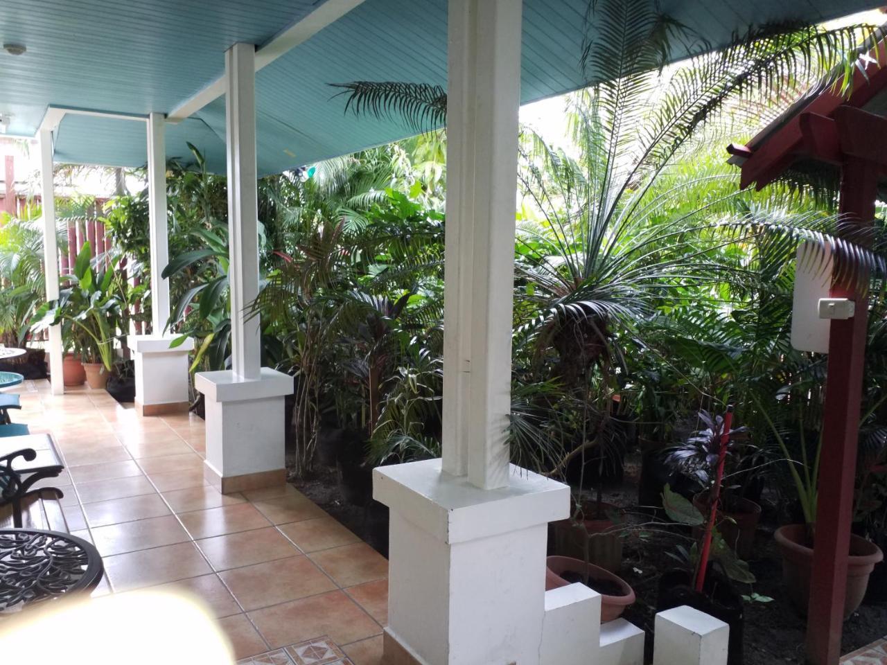 Aqua Point Condos Rentals Bocas Town Dış mekan fotoğraf